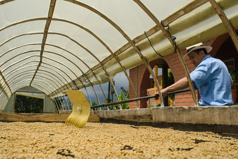 Способи обробки кавового зерна